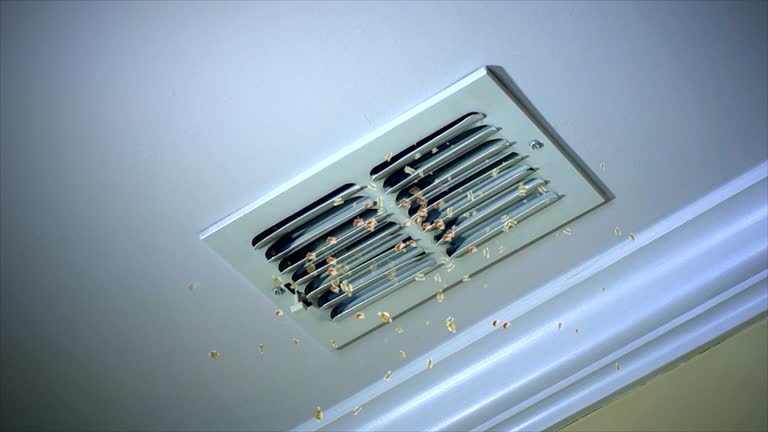 Best Professional Duct Cleaning Services  in Park Forest, IL