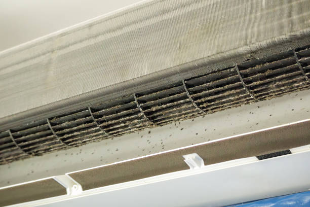 Best Affordable Air Duct Cleaning  in Park Forest, IL