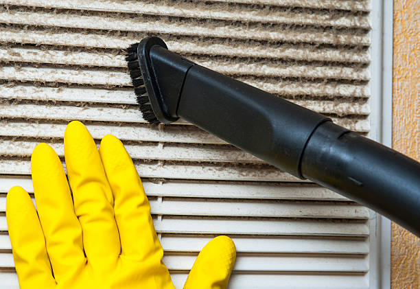 Best Air Vent Cleaning Services  in Park Forest, IL
